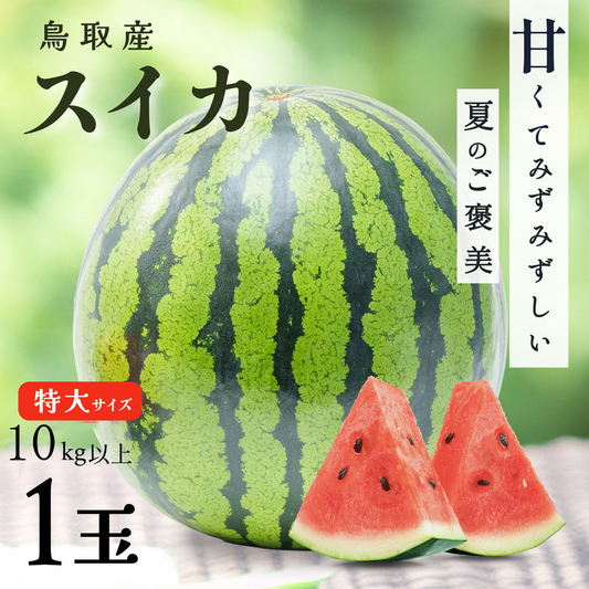 完熟スイカ特大サイズ10kg以上