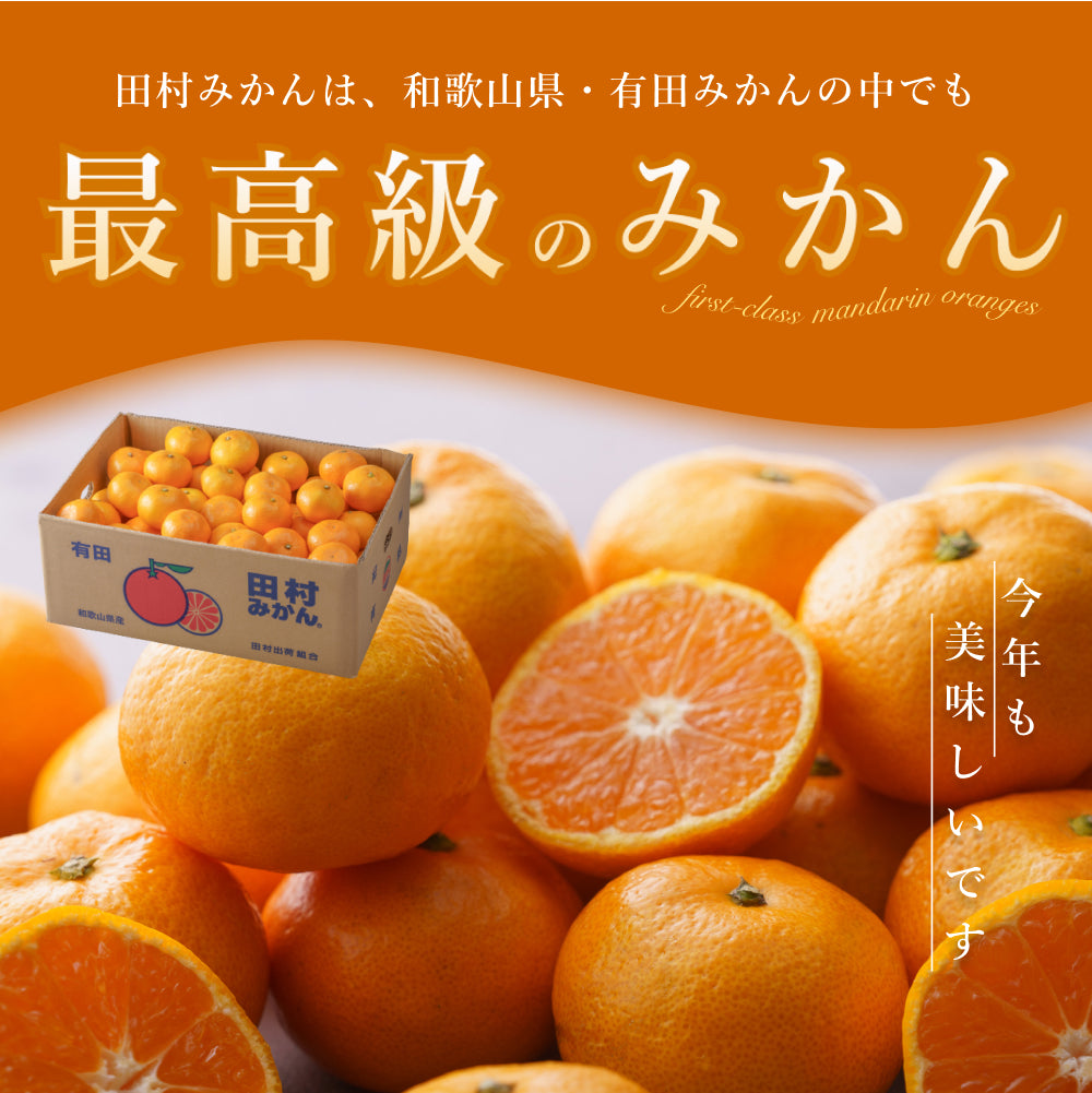 最高ブランド「田村みかん」Lサイズ 5kg