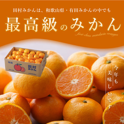 最高ブランド「田村みかん」 Sサイズ 5kg