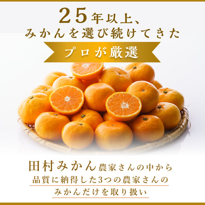 最高ブランド「田村みかん」Lサイズ 5kg