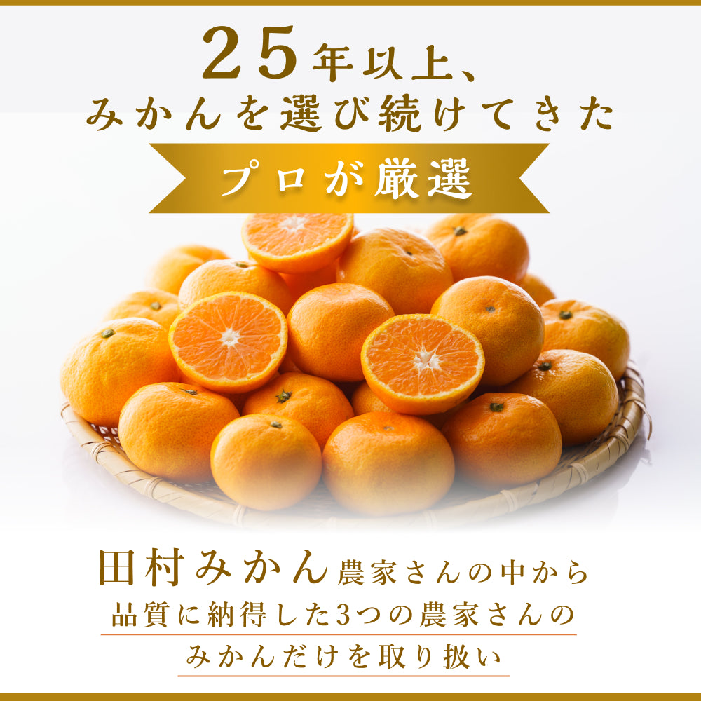 最高ブランド「田村みかん」 Sサイズ 5kg