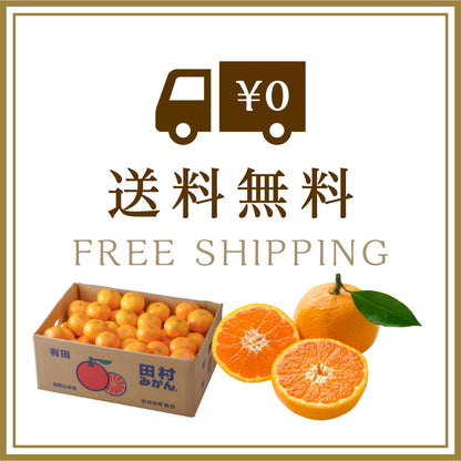 最高ブランド「田村みかん」 Sサイズ 5kg