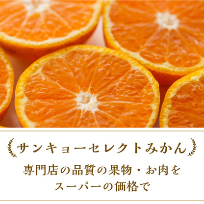 最高ブランド「田村みかん」Lサイズ 5kg