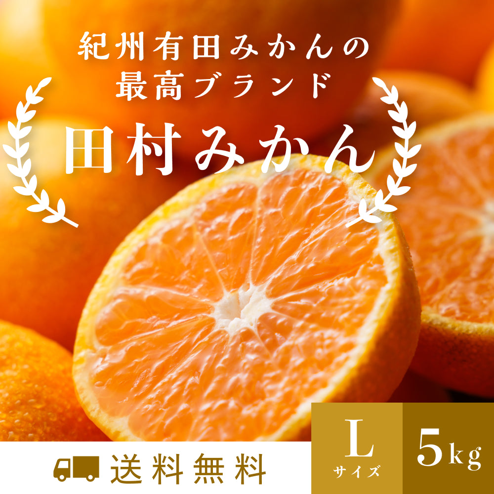 最高ブランド「田村みかん」Lサイズ 5kg