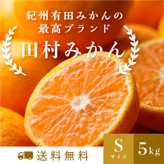 最高ブランド「田村みかん」 Mサイズ 5kg